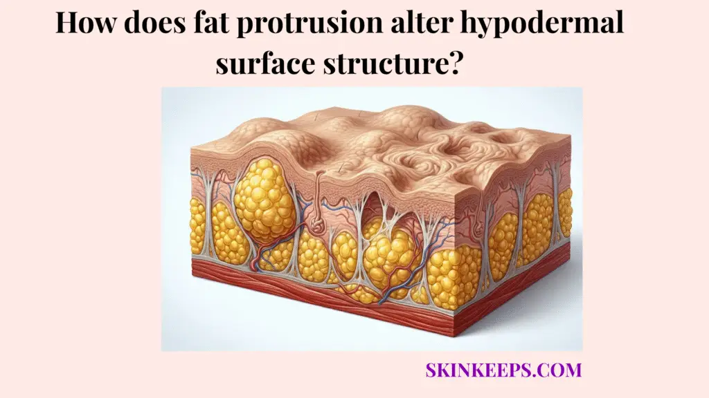 fat protrusion alter hypodermal surface structure