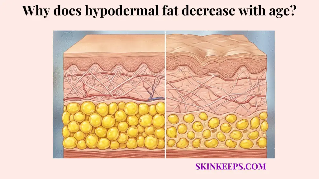 hypodermal fat decrease with age