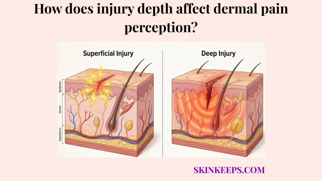 injury depth affect dermal pain perception