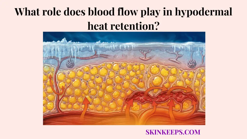 role blood flow play in hypodermal heat retention
